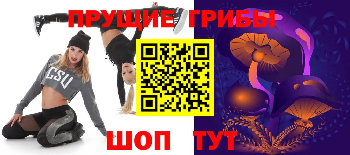 Заволжье  Псилоцибиновые грибы Psilocybe  Вход с VPN 